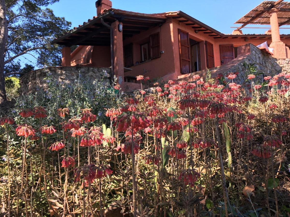 Casa Diana Bed and Breakfast Isola di Giannutri Exteriör bild
