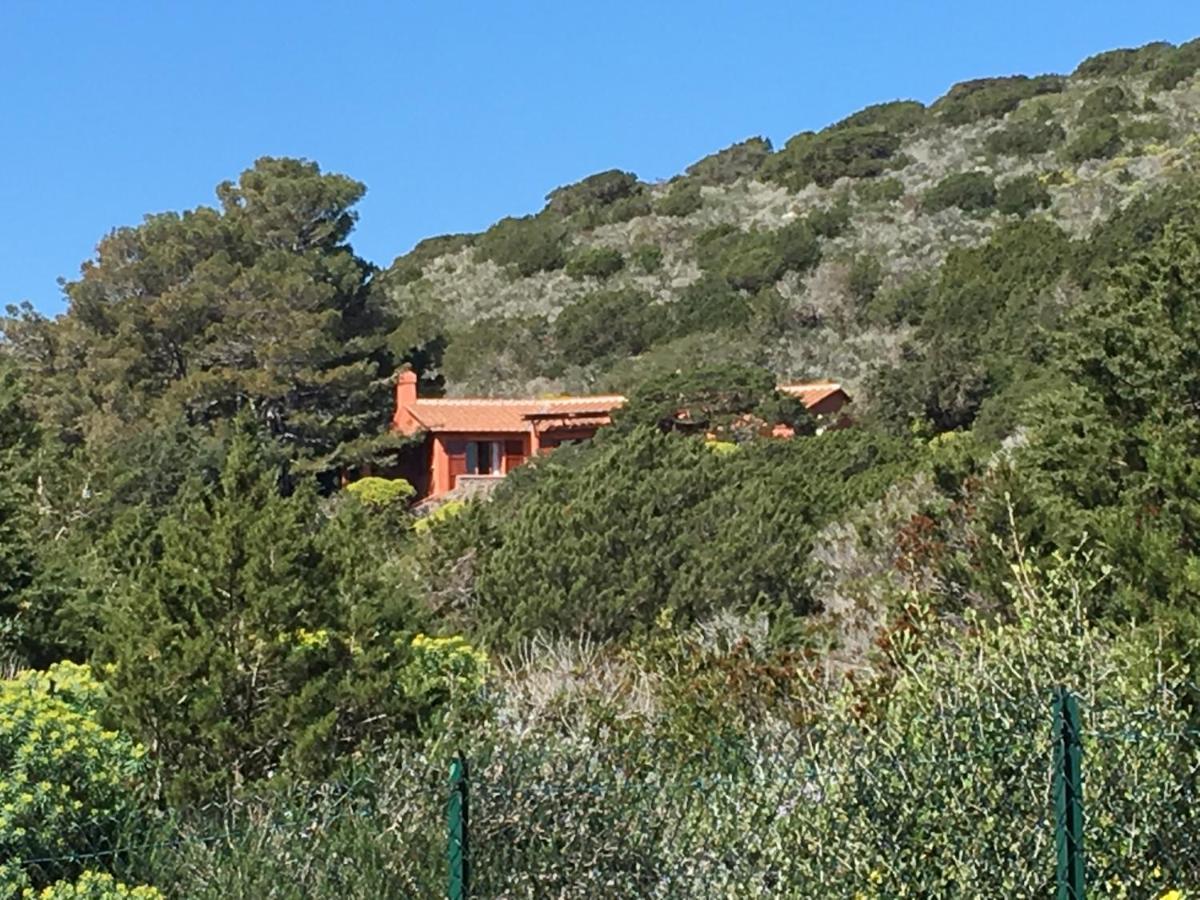 Casa Diana Bed and Breakfast Isola di Giannutri Exteriör bild